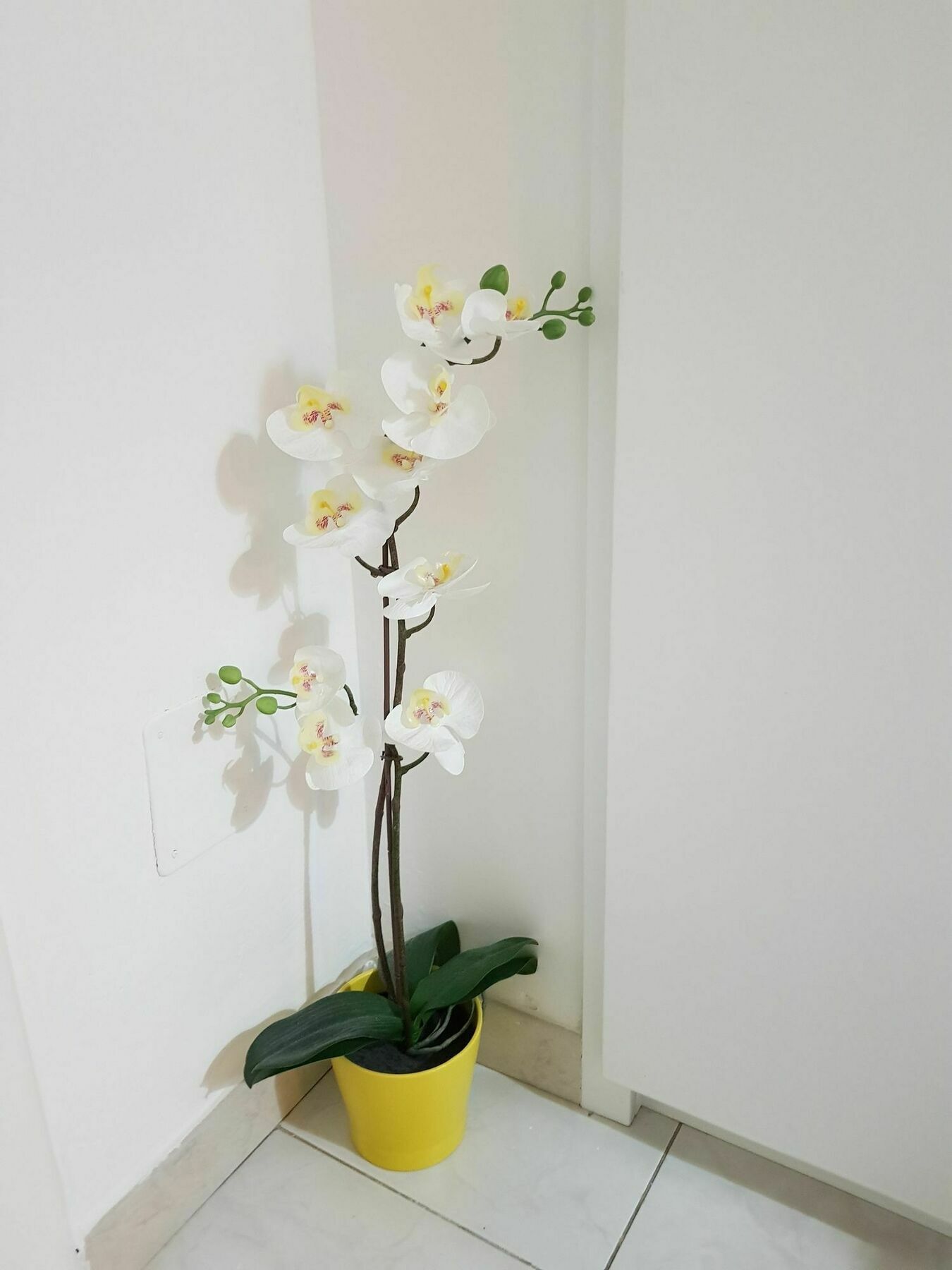 Happy Apartment Lecce Luaran gambar